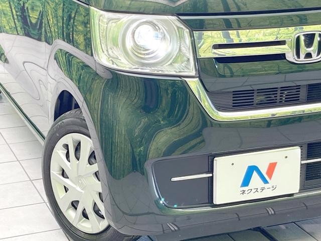 26688496_carP_l_6.jpg