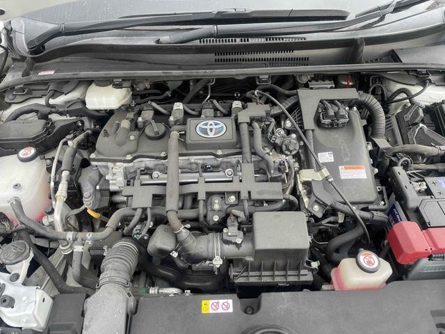 0205512A30261020W00710.jpg