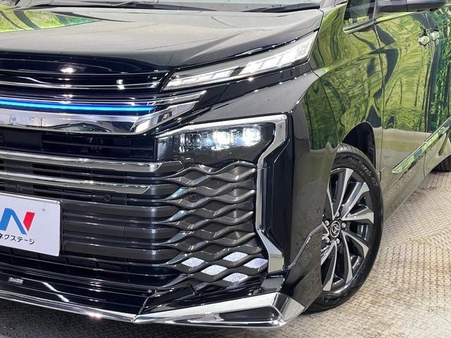 26860990_carP_l_8.jpg