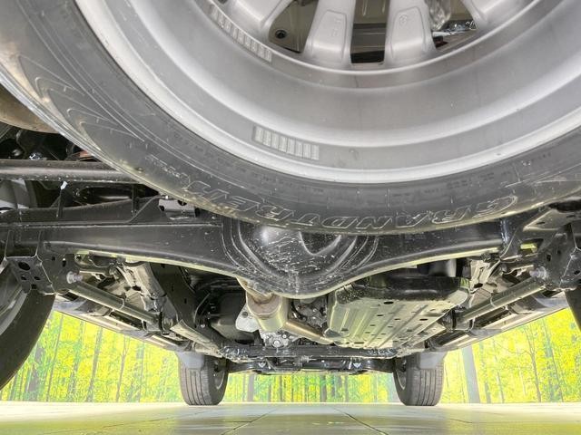 26710670_carP_l_20.jpg