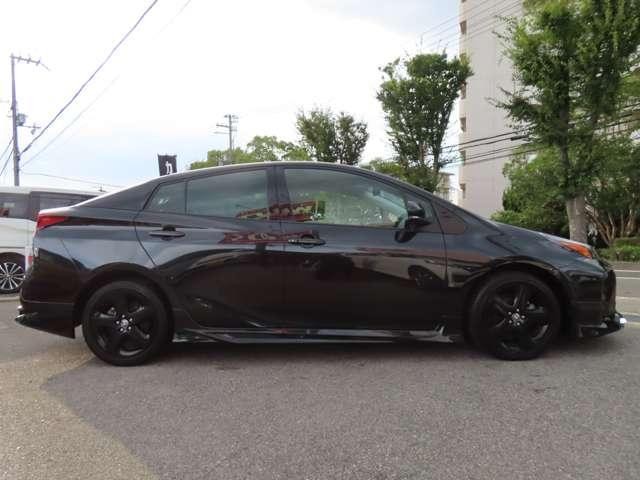25729639_carP_l_14.jpg