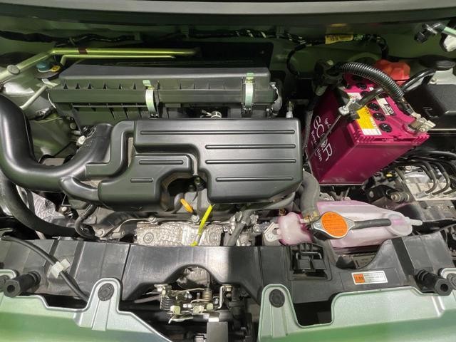 25866031_carP_l_12.jpg