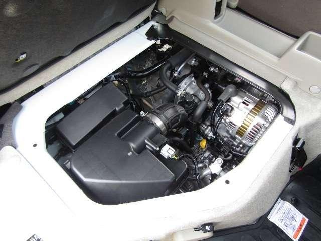 25729687_carP_l_13.jpg