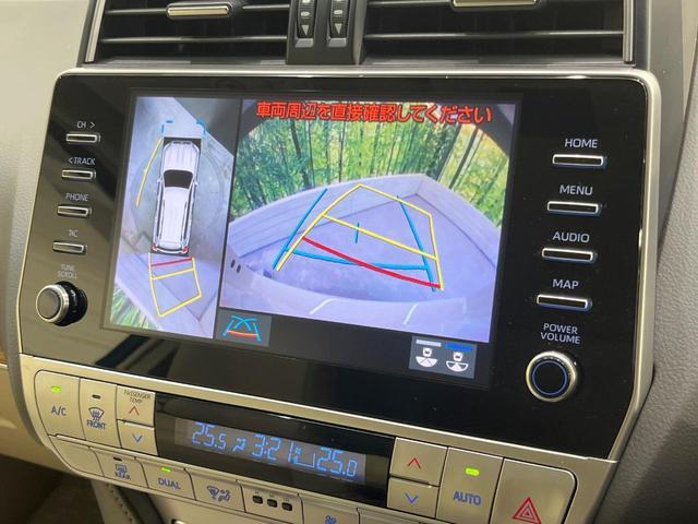 24932401_carP_l_10.jpg