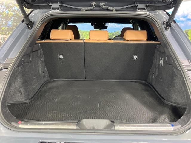 25527982_carP_l_7.jpg