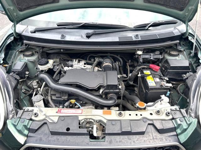 25754960_carP_l_16.jpg