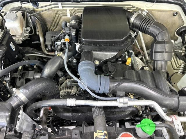25572047_carP_l_16.jpg