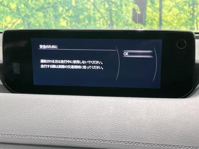 25199375_carP_l_15.jpg