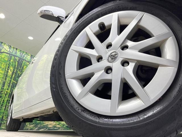 26901732_carP_l_8.jpg