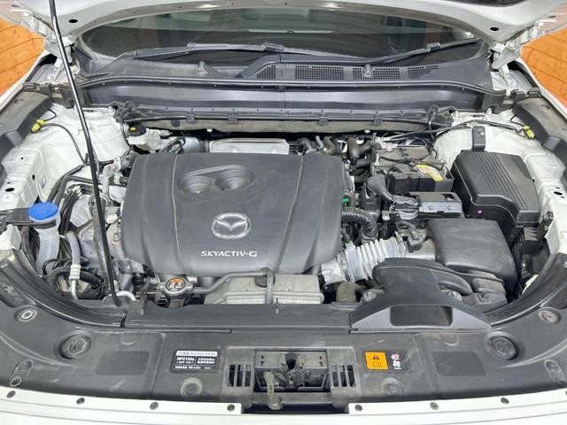 25096943_carP_l_18.jpg