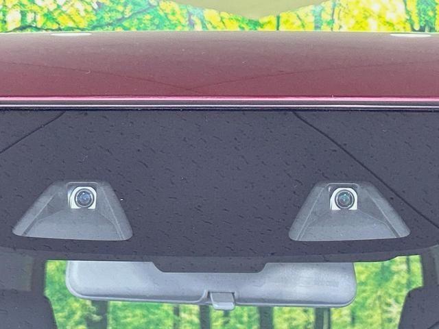 26557667_carP_l_15.jpg