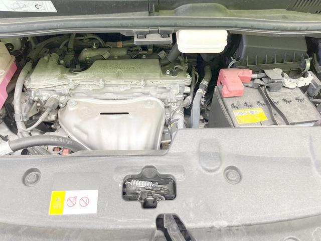 24912754_carP_l_16.jpg