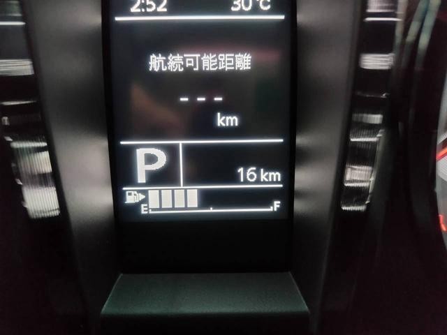 25528184_carP_l_12.jpg