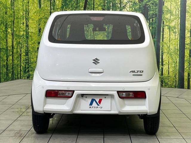 25942552_carP_l_9.jpg