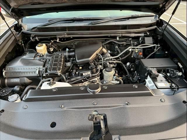 25111747_carP_l_16.jpg