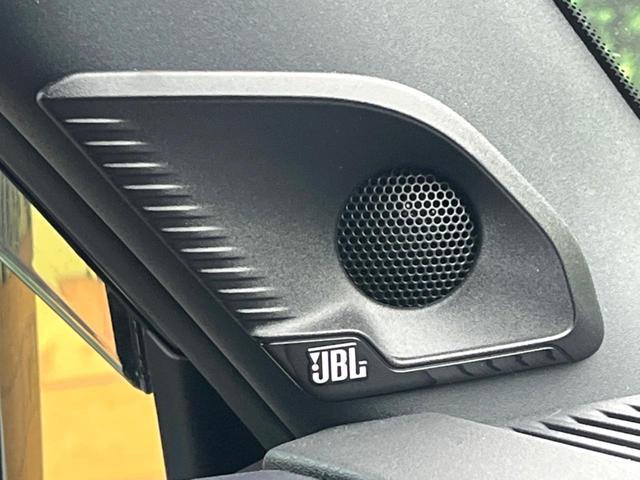 24767568_carP_l_13.jpg