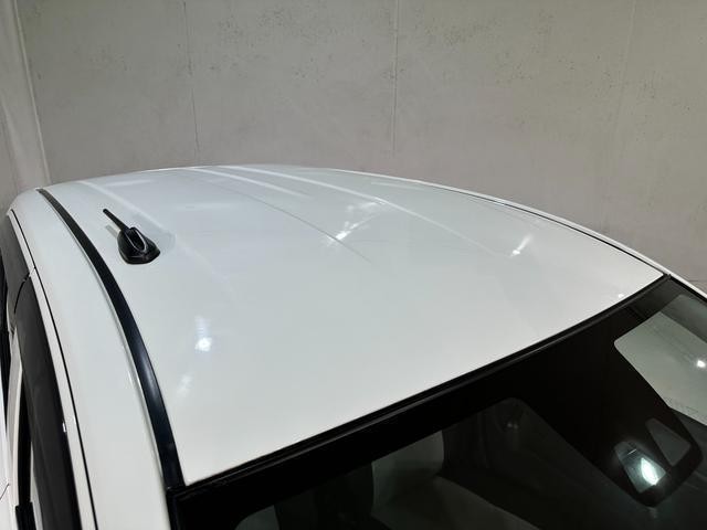 25030899_carP_l_16.jpg