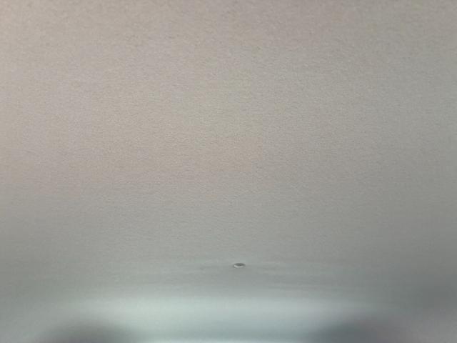 0205217A30260228W00117.jpg