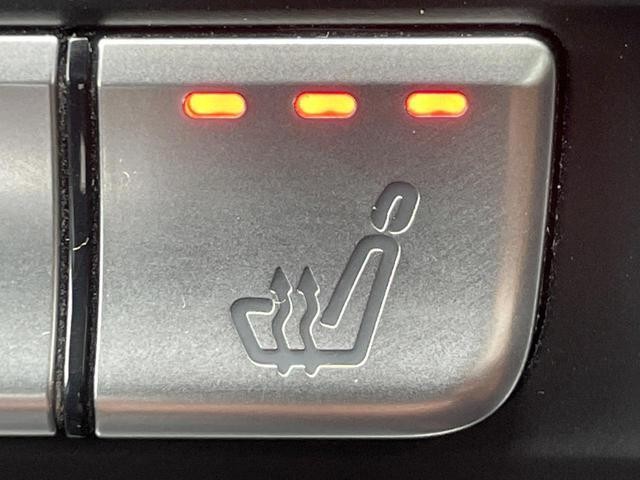 26251615_carP_l_17.jpg