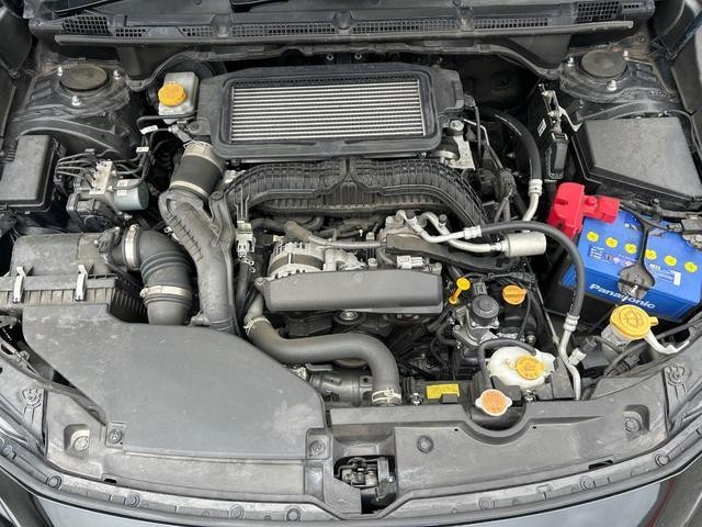 26379153_carP_l_16.jpg