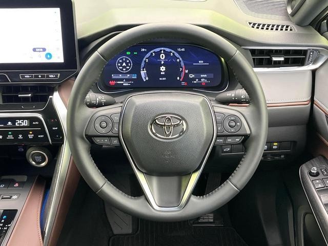 25075954_carP_l_17.jpg