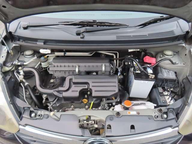 24026823_carP_l_16.jpg