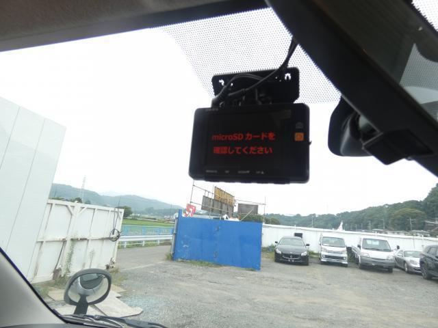 25000394_carP_l_19.jpg