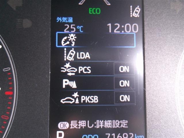 25000426_carP_l_8.jpg