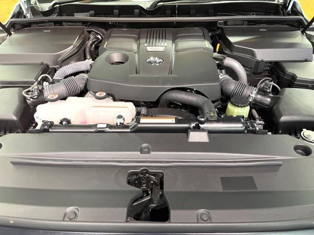 24912194_carP_l_16.jpg