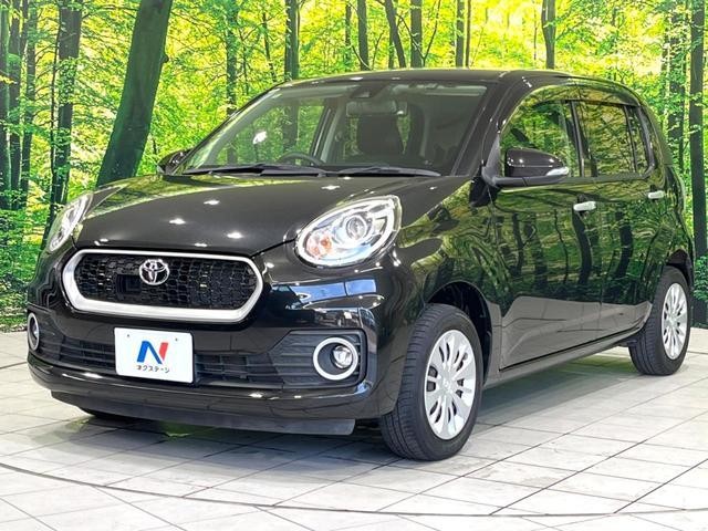 24974148_carP_l_11.jpg