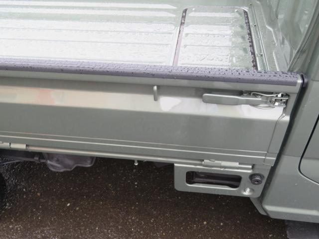 24374843_carP_l_5.jpg