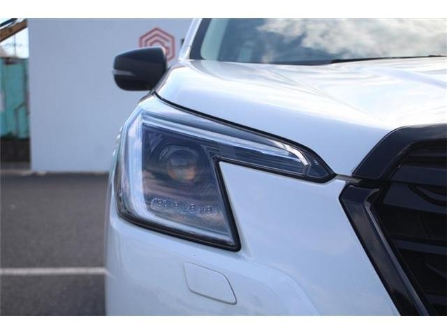 27066763_carP_l_6.jpg