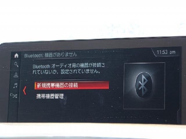 25221176_carP_l_13.jpg