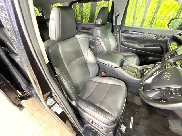 26314999_carP_l_17.jpg