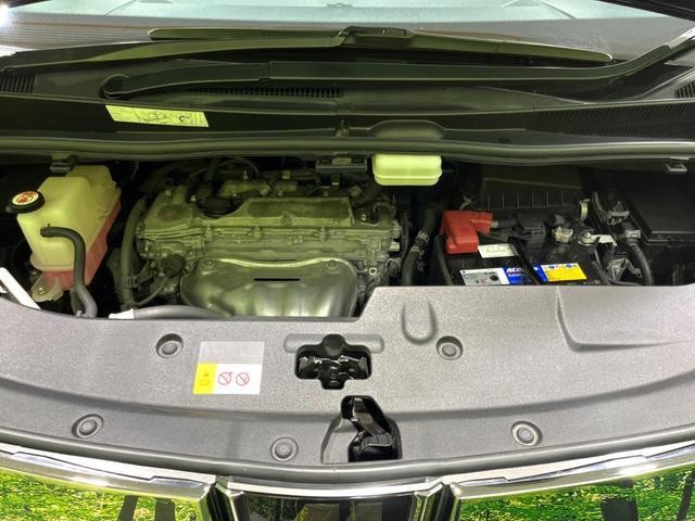 25612260_carP_l_20.jpg