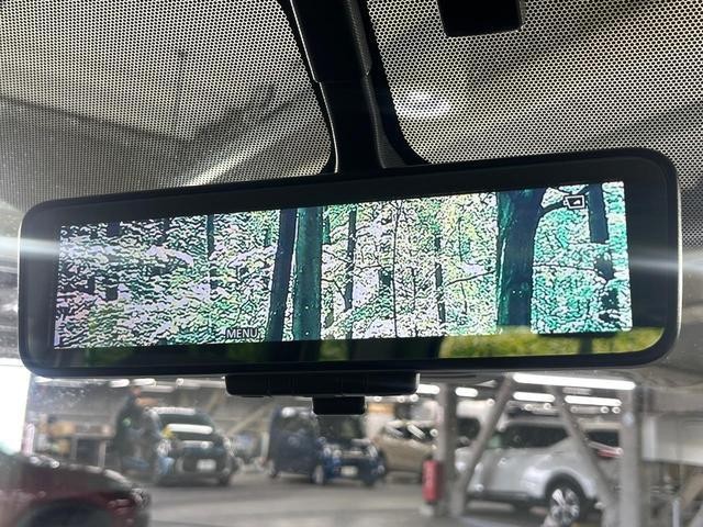 25612300_carP_l_10.jpg