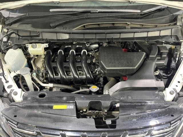 25612300_carP_l_16.jpg