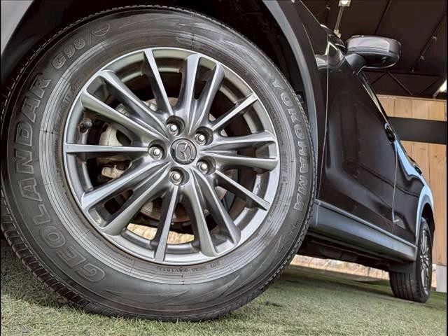 23390613_carP_l_18.jpg