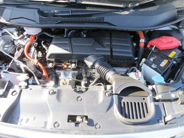 24381170_carP_l_12.jpg