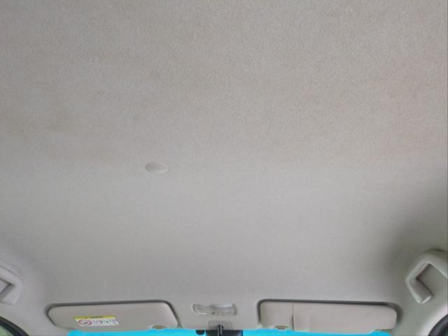 26373762_carP_l_12.jpg