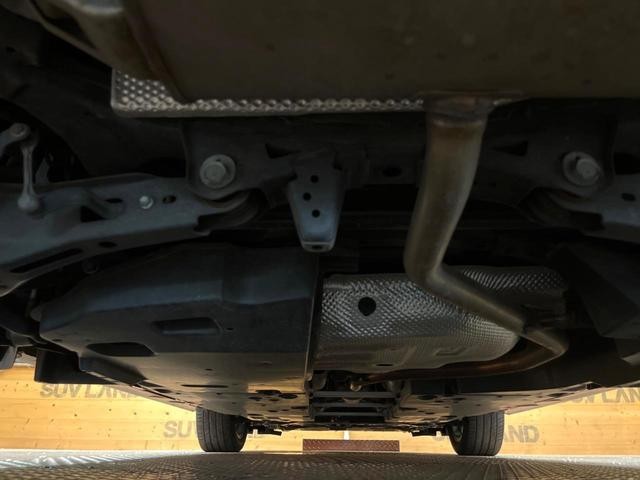 25035464_carP_l_18.jpg