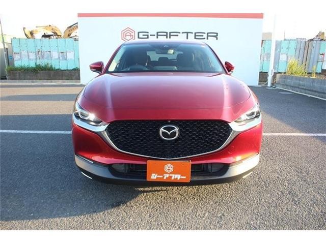 27066774_carP_l_19.jpg