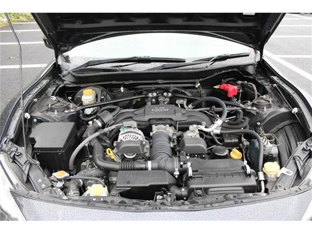 26725960_carP_l_20.jpg