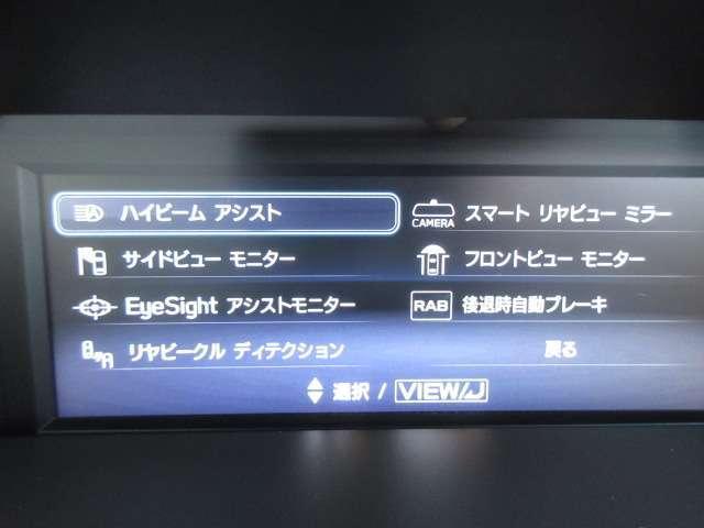 0401683A30260609W00612.jpg