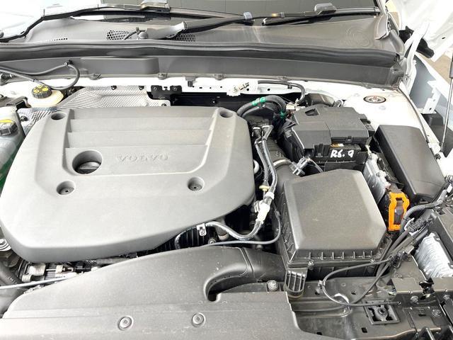 24602673_carP_l_20.jpg