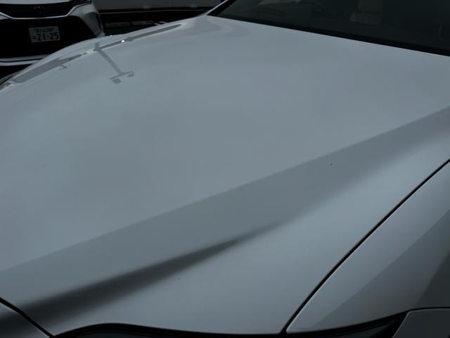 26372708_carP_l_19.jpg