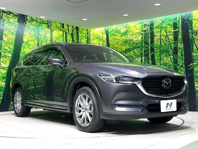 25035491_carP_l_16.jpg