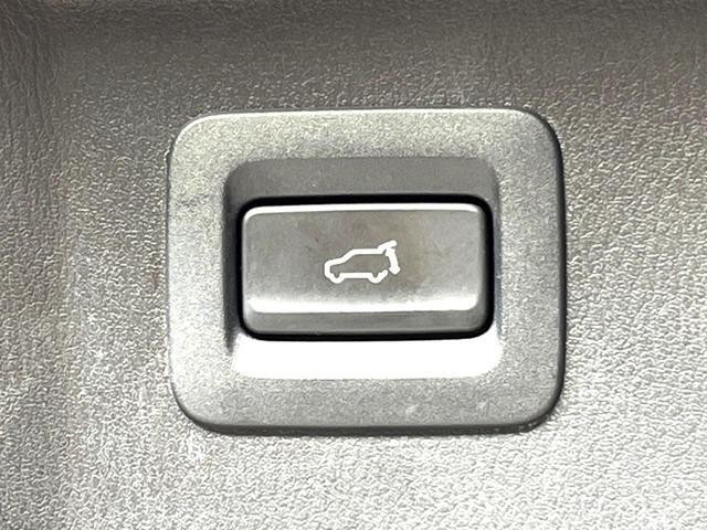 25035491_carP_l_17.jpg