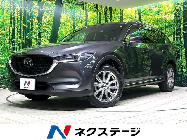 25035491_carP_l_1.jpg