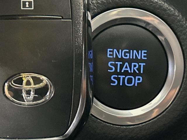 25466761_carP_l_14.jpg